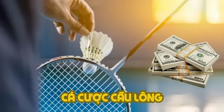 Hướng Dẫn Cách Chơi Cá Cược Cầu Lông K8CC Cho Người Mới Bắt Đầu
