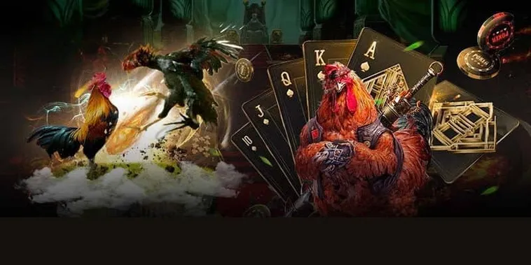 Hướng Dẫn Cách Chơi Đá Gà GA28 Tại K8CC Dành Cho Sư Kê Mới