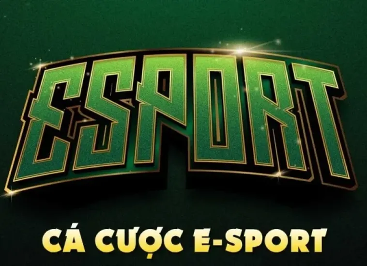 Hướng Dẫn Cách Chơi Thể Thao Điện Tử K8CC Dành Cho Người Mới 2 Hướng Dẫn Cách Chơi Thể Thao Điện Tử K8CC Dành Cho Người Mới